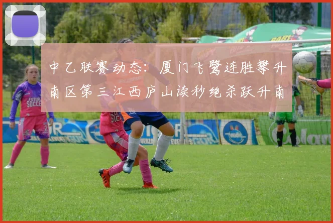 中乙联赛动态：厦门飞鹭连胜攀升南区第三江西庐山读秒绝杀跃升南区第四